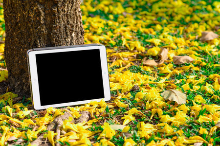 Touch padの写真素材