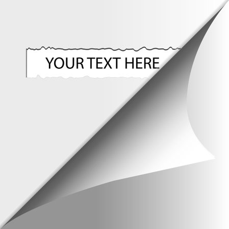 Curled Paper Vector Illustration  のイラスト素材