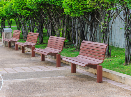 Wooden benches in parkの写真素材