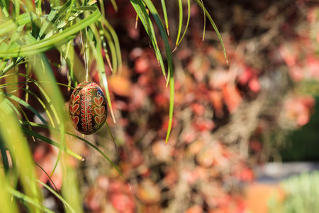 Easter egg hanging outside on a grassの写真素材