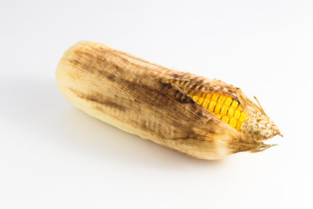 Burnt corn cooked isolate on white background.の写真素材