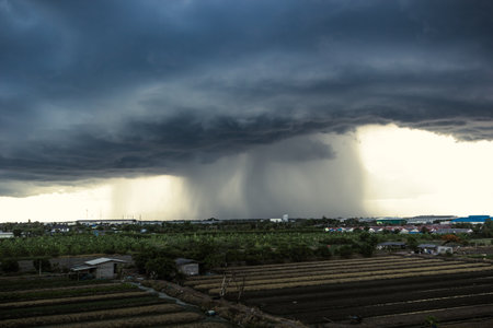 Overcast dark sky, heavy clouds gathered and violent storms rained in the distance that shook the gardeners' vegetable plots.の写真素材