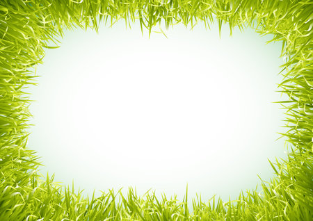 Frame of green succulent grass. Preparation for cardsのイラスト素材