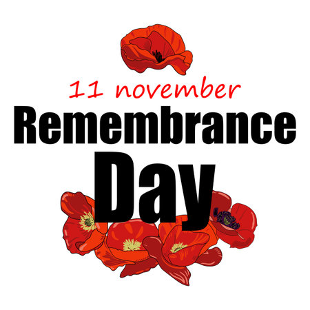 Remembrance day November 11 square card with red poppies on the edges of the card on a white background. Red poppies frame the text above and below.のイラスト素材