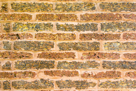 Laterite wall background and textureの写真素材