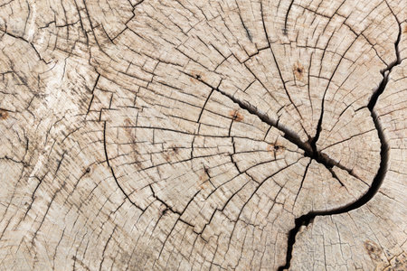 cracked pattern on the old wood background