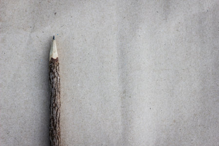 wooden pencil made from tree branch on brown paperの写真素材