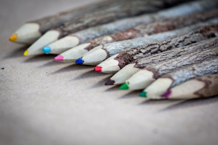set of wooden color pencil from tree branch on brown paper backgroundの写真素材
