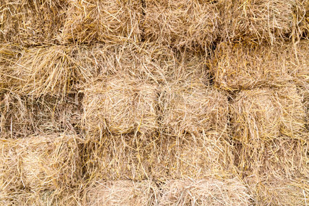 bale of rice straw backgroundの写真素材