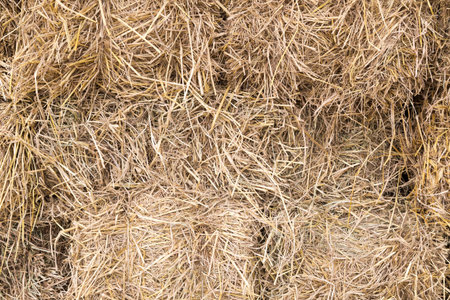 bale of rice straw backgroundの写真素材