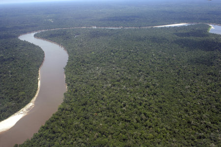 Aerial view of the Amazon River winding through the Amazon jungle Peru, South Americaの写真素材