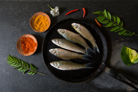 Raw fish on a pan with use of selective focusの写真素材