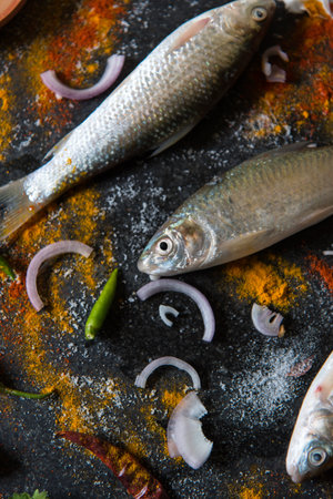 Raw fish food ingredients background. Close up, selective focus.の写真素材