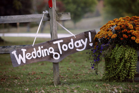 Wedding Todayの写真素材