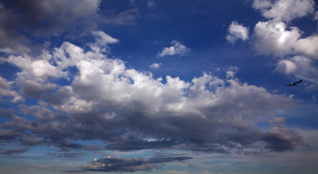 White Fluffy Clouds
