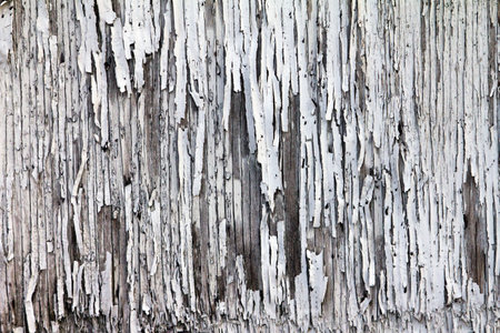 Texture of peeling paint on grungy old woodの写真素材