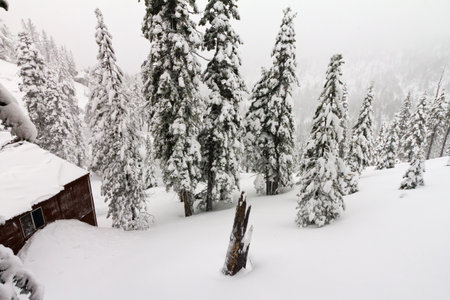 Mountain cabin burried in a mountain of snow during a winter blizzard near Lake Tahoe California Nevadaの写真素材
