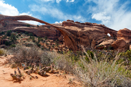 Landscape Arch desert scene in Arches National Park Utah USAの写真素材