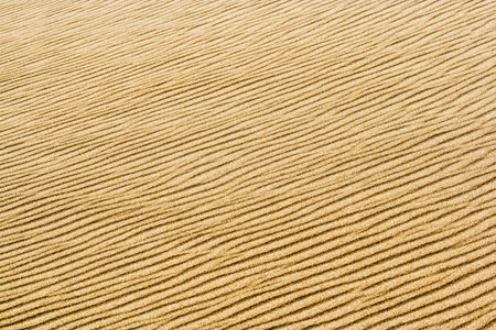 Sand waves background texture patternの写真素材