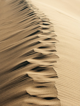 Trail of footprints  in sand の写真素材