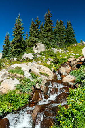 Waterfall surrounded by wildflowers in the Colorado mountains landscapeの写真素材