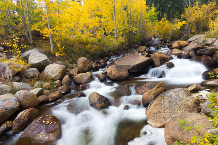 Golden aspen trees and mountain stream during Fall in Coloradoの写真素材