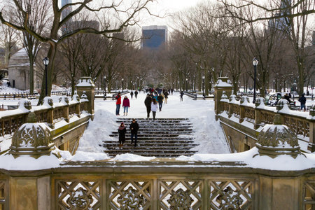 NEW YORK CITY â JANUARY 2015: Crowds of people enjoy the recent snowfall in Central Park after a big winter blizzard hits downtown Manhattan, New York City.のeditorial素材