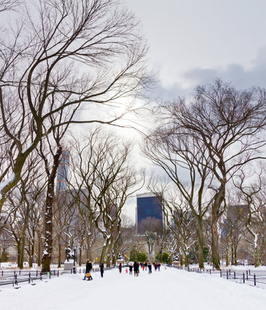 Crowds of people enjoy the recent snowfall in Central Park after a big winter blizzard hits downtown Manhattan, New York City.の写真素材