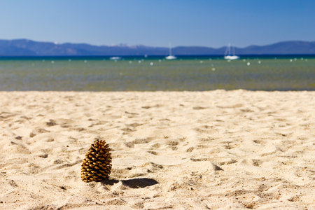Pine cone on an empty beach at Lake Tahoe, Californiaの写真素材