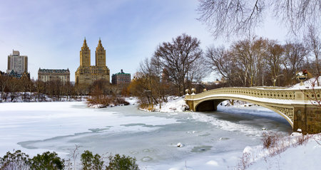 Central Park frozen winter landscape scene in Manhattan, New York Cityの写真素材