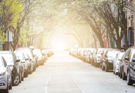Parked cars along a sunny tree lined street in New York Cityの写真素材