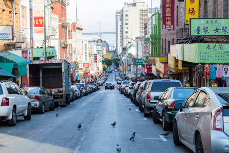 SAN FRANCISCO - CIRCA 2017: Pigeons walk across Jackson Street between the cars and shops in the Chinatown neighborhood of San Francisco, California with the Bay Bridge in the background during the fall of 2017.のeditorial素材
