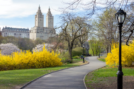 Path through Central Park Spring landscape in New York Cityの写真素材