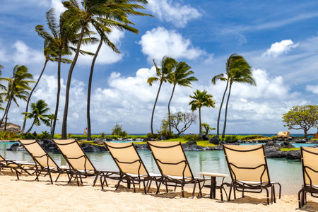 Tropical paradise scene with row of chairs along a sandy beach with palm trees and ocean viewの写真素材