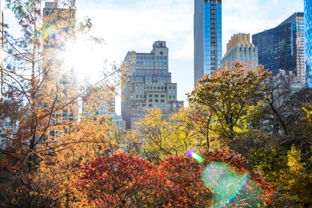 Colorful trees of Central Park in fall with the skyline buildings in the background of Manhattan New York Cityの写真素材