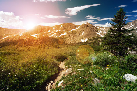 Sunset light shining behind a distant mountain range and a dirt hiking trail winding through an alpine meadow in a Colorado landscape sceneの写真素材