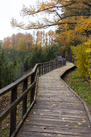Path leading through the park area