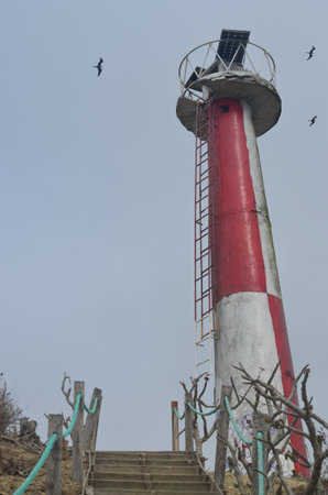 Light house of San Lorenzoの写真素材