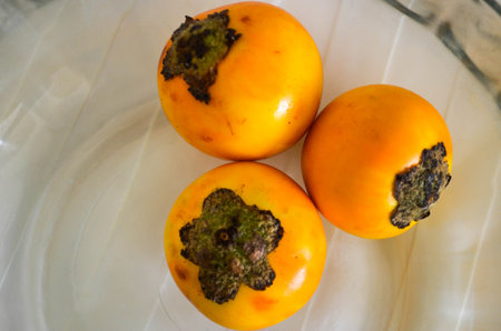 naranjilla fruitの写真素材