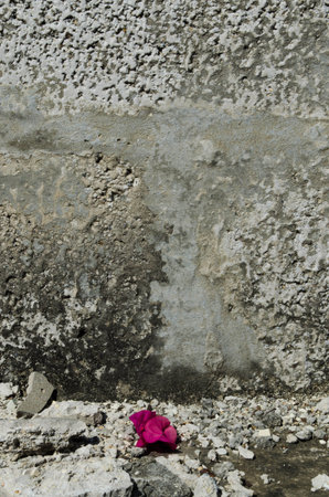 A little lifeの写真素材