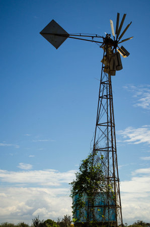 Windmillの写真素材