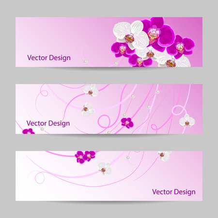 Set of horizontal banners with orchid flowers, pearls and ribbons.のイラスト素材