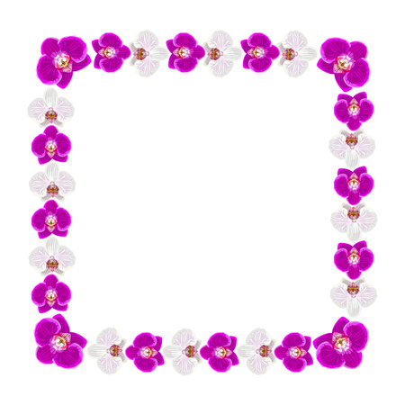 Beautiful orchid flowers frame isolated on white background for greeting card or invitation design.のイラスト素材