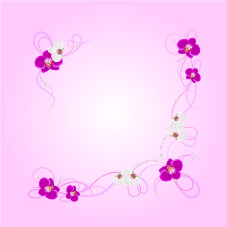 Arrangement of orchid flowers on pink background for greeting card or invitation design.のイラスト素材
