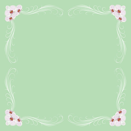 Delicate frame with orchid flowers on green background for greeting card or invitation design.のイラスト素材