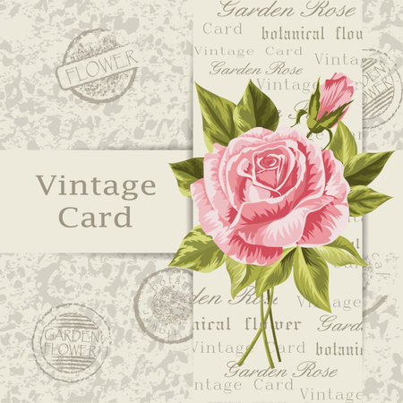 Beautiful flower for invitation card. Vintage postcard background. Vector illustration.のイラスト素材