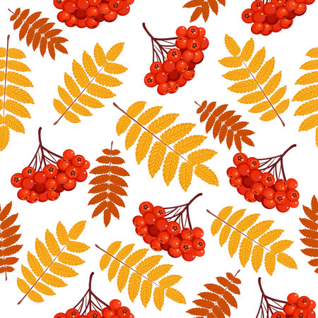 Autumn seamless pattern with rowan leaves and berries. Vector illustration on white background.のイラスト素材