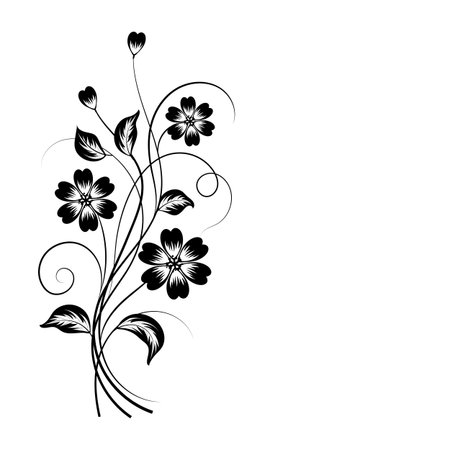 Simple floral background in black and white with place for your text.のイラスト素材