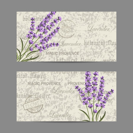 Set of horizontal banners. Beautiful lavender flowers for invitation card. Vintage postcard background. Vector illustration.のイラスト素材