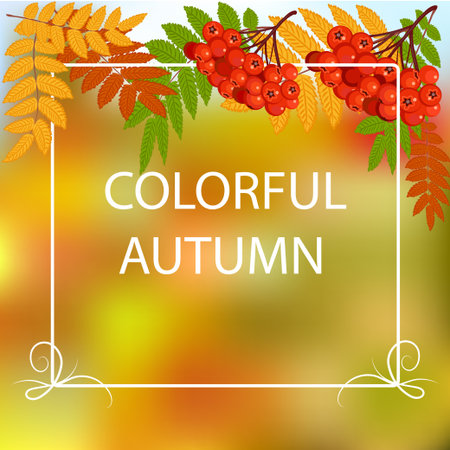 Colorful autumn sign on bright background with rowan leaves and berries.のイラスト素材
